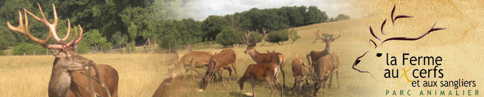 La Ferme aux Cerfs